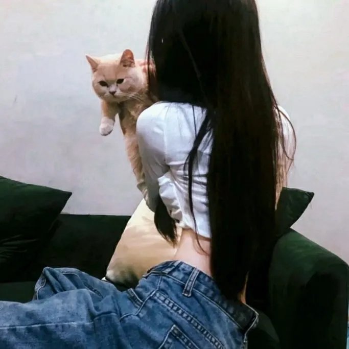撩妹专家
